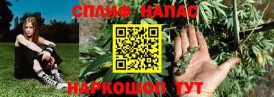 прущие крисы Новокубанск