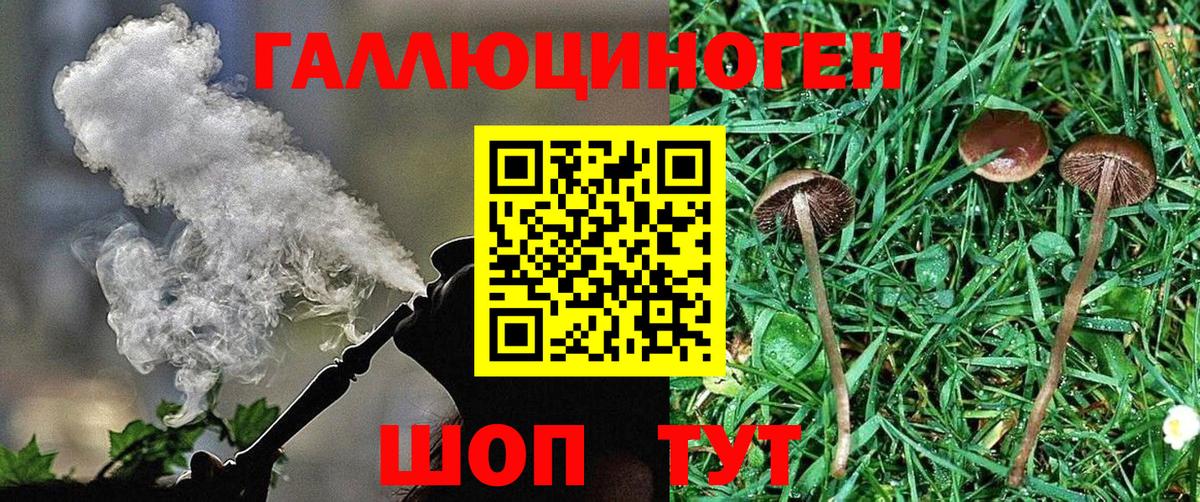 Псилоцибиновые грибы Psilocybine cubensis  Вход с VPN  Орёл 